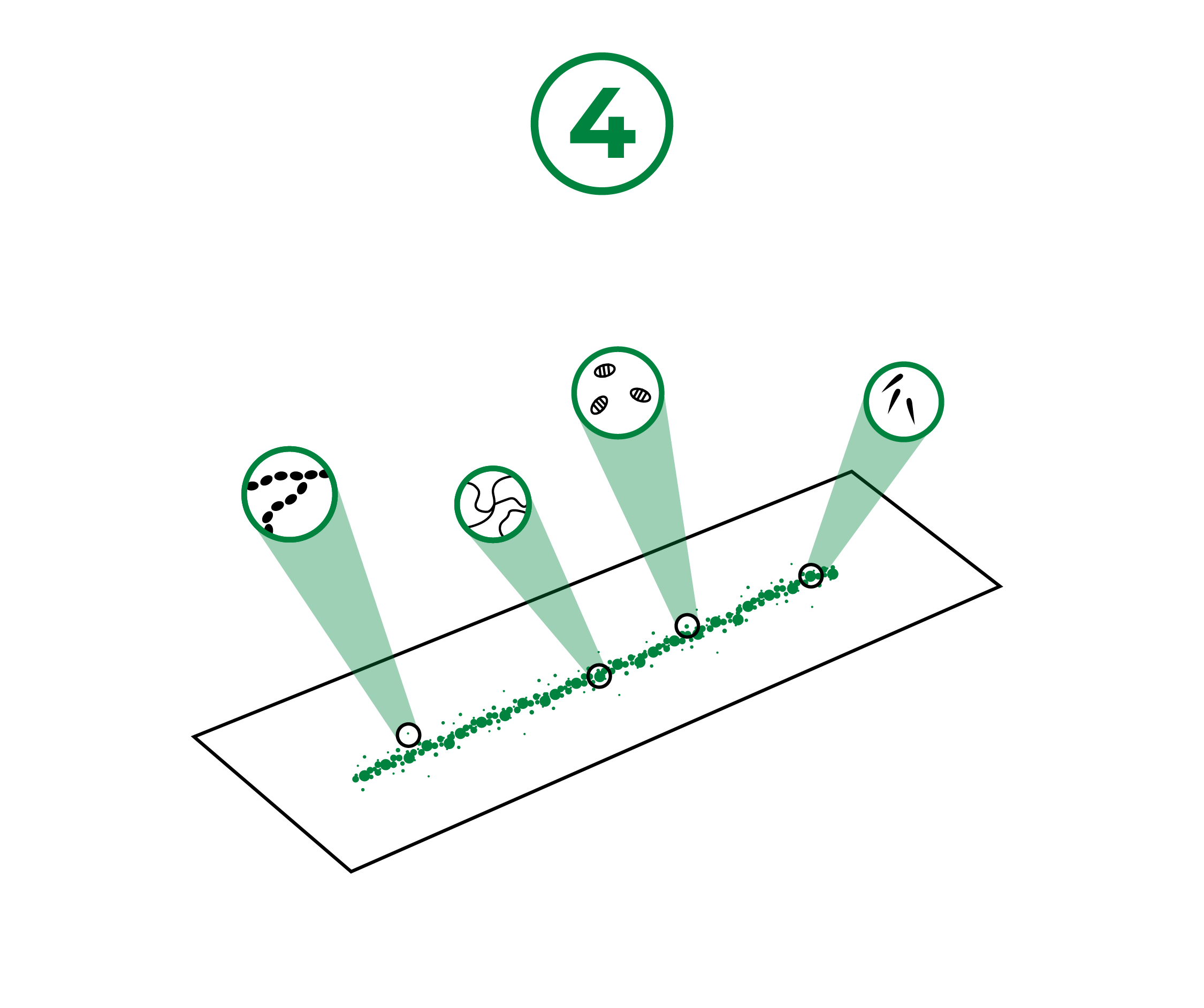 Airtrap step 4