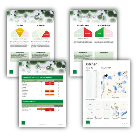 block of 4 report samples