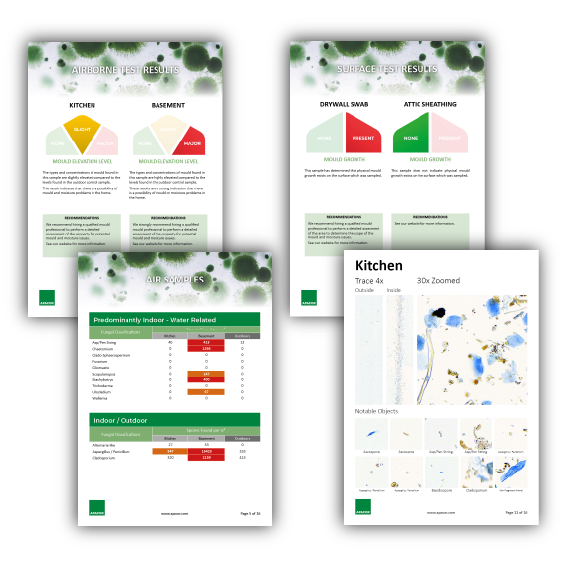 block of 4 report samples